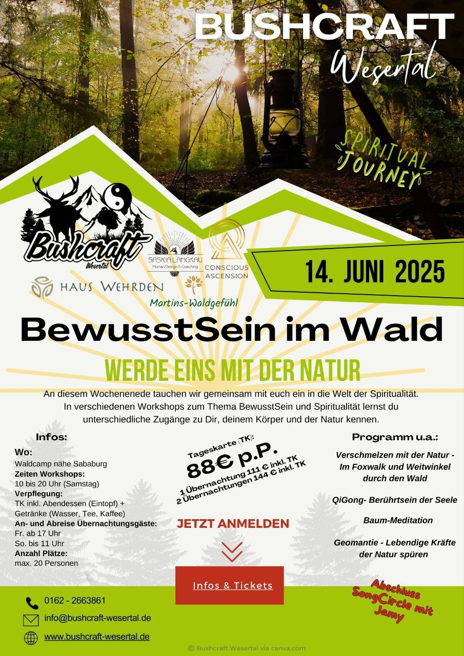 BewusstSein im Wald